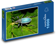 Käfer - Käfer, Insekt Puzzle 1000 Teile - 60 x 46 cm