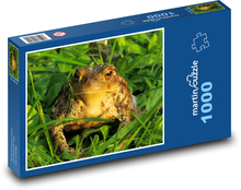 Ropucha - žaba, obojživelník Puzzle 1000 dielikov - 60 x 46 cm 