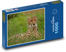 Gepard - veľká mačka, Afrika Puzzle 1000 dielikov - 60 x 46 cm 