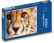 Cheetah - animal, mammal Puzzle 1000 pieces - 60 x 46 cm 