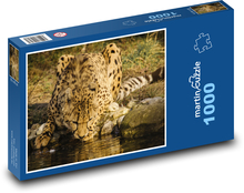 Gepard - zviera Puzzle 1000 dielikov - 60 x 46 cm 