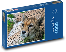 Gepard - šelma, veľká mačka Puzzle 1000 dielikov - 60 x 46 cm 