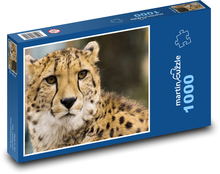 Gepard - divoké zviera, zoo Puzzle 1000 dielikov - 60 x 46 cm 