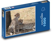 Gepardi - Safari, Afrika Puzzle 1000 dílků - 60 x 46 cm