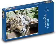 Jaguar - kot, zwierzę Puzzle 1000 elementów - 60x46 cm