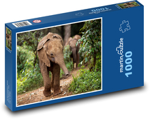 Slon - zvíře, slůně Puzzle 1000 dílků - 60 x 46 cm
