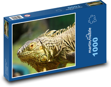 Leguan - Eidechse, Reptil Puzzle 1000 Teile - 60 x 46 cm