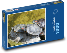Schildkröten - Reptilien, Tiere Puzzle 1000 Teile - 60 x 46 cm