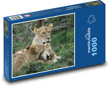 Lwy w Safaris, Kenia Puzzle 1000 elementów - 60x46 cm