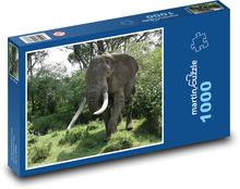 Elefant - Tier, Natur Puzzle 1000 Teile - 60 x 46 cm