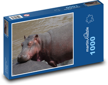 Hipopotam - woda, zwierzę Puzzle 1000 elementów - 60x46 cm