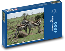 Zebra - Safari, Natur Puzzle 1000 Teile - 60 x 46 cm