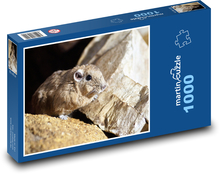 Gundi - Sahara, gryzoń Puzzle 1000 elementów - 60x46 cm