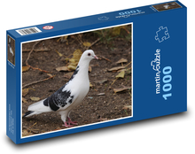 Holub - ptactvo, zvířata Puzzle 1000 dílků - 60 x 46 cm