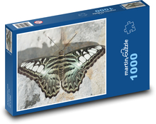 Motýl - okřídlený hmyz, fauna  Puzzle 1000 dílků - 60 x 46 cm