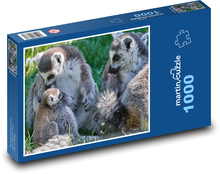 Lemur - opice, mládě Puzzle 1000 dílků - 60 x 46 cm