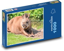 Tapír - zoo, zvíře Puzzle 1000 dílků - 60 x 46 cm
