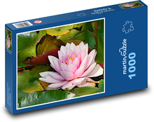 Ružový lekno - vodná rastlina, kvet Puzzle 1000 dielikov - 60 x 46 cm 