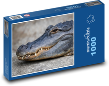 Aligátor - krokodíl, plaz Puzzle 1000 dielikov - 60 x 46 cm 