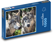 Vlci - dravá šelma, zvieratá Puzzle 1000 dielikov - 60 x 46 cm