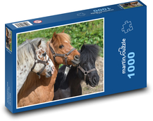 Poníky - mladí kone, žriebätá Puzzle 1000 dielikov - 60 x 46 cm 