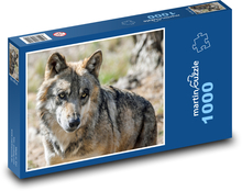 Grauer Wolf - Tier, Raubtier Puzzle 1000 Teile - 60 x 46 cm