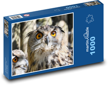 Sova - pták, oči Puzzle 1000 dílků - 60 x 46 cm