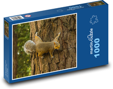 Squirrel - tree, forest Puzzle 1000 pieces - 60 x 46 cm 