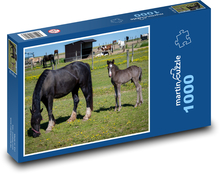 Schwarzes Pferd - Fohlen, Stute Puzzle 1000 Teile - 60 x 46 cm