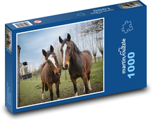 Braune Pferde - Hengst, Stute Puzzle 1000 Teile - 60 x 46 cm