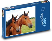 koně - hnědí koně Puzzle 1000 dílků - 60 x 46 cm
