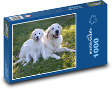 Zlatý Retriever - štěně, pes Puzzle 1000 dílků - 60 x 46 cm