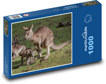 Kangur wschodni - młode, zwierzęta Puzzle 1000 elementów - 60x46 cm