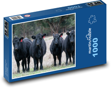 Kravy - Čierny Angus Puzzle 1000 dielikov - 60 x 46 cm 