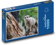 Surykatka - zwierzę, Afryka Puzzle 1000 elementów - 60x46 cm