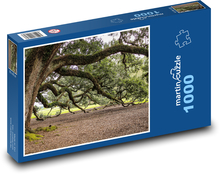 Virginia - živý dub. vetvy stromu Puzzle 1000 dielikov - 60 x 46 cm 