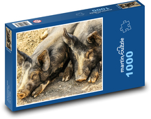 Schweine - Ferkel, Nutztiere Puzzle 1000 Teile - 60 x 46 cm