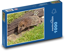 Hedgehog - animal, garden Puzzle 1000 pieces - 60 x 46 cm 