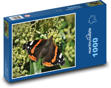 Motýl - hmyz, křídla Puzzle 1000 dílků - 60 x 46 cm