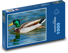 Kachna divoká - kačer, vodní zvíře Puzzle 1000 dílků - 60 x 46 cm