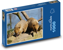 Nosal - Tiere, Säugetiere Puzzle 1000 Teile - 60 x 46 cm