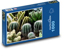 Kaktusy - pokojové rostliny, květiny Puzzle 1000 dílků - 60 x 46 cm
