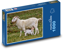 Goat - goat, cub Puzzle 1000 pieces - 60 x 46 cm
