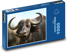 Buvol - rohy, dobytek Puzzle 1000 dílků - 60 x 46 cm