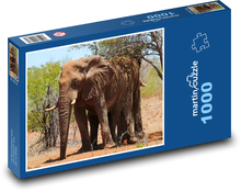 Slon africký - zviera, cicavec Puzzle 1000 dielikov - 60 x 46 cm 