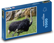 Pštros - vták, zviera Puzzle 1000 dielikov - 60 x 46 cm