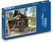 Stromy - kořeny, kůra Puzzle 1000 - 60x46 cm