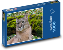 Puma - dravec, zoo Puzzle 1000 dílků - 60 x 46 cm