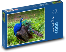 Pfau - Vogel, Tier Puzzle 1000 Teile - 60 x 46 cm