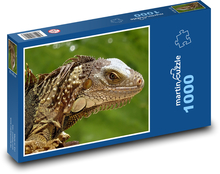 Leguan - Eidechse, Florida Puzzle 1000 Teile - 60 x 46 cm